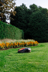Autonomous Robotic Mower on Garden Lawn