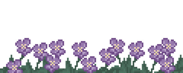 Pixel art of beautiful purple, violet or mauve orchid flower with transparent background and copy space. can be used for wallpaper, template card and background. Simple and cute card © evan