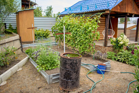 tiered vegetable garden with raised beds grapevine and wooden gazebo in backyard