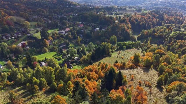 aerial view orchard clearing and village, land planner mapping plots, scattered homes, sunlit clearings, mixed