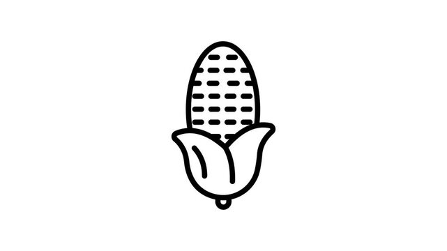 A corncob animated icon depicting fresh, ripe corn, symbolizing harvest and agricultural produce.