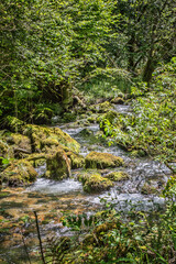 Forest stream flowing over mossy rocks creating tranquil nature