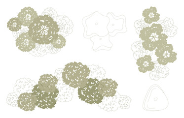 Top view trees for architectural plans and landscape design. Minimal vector illustration for urban planning, site plans, and architectural entourage.