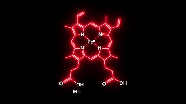 neon Hemoglobin and Heme Molecules on black Background. glowing formula of Hemoglobin. Hemoglobin Molecular Structure Symbol icon Animation. Hemoglobin Molecule Structure icon.