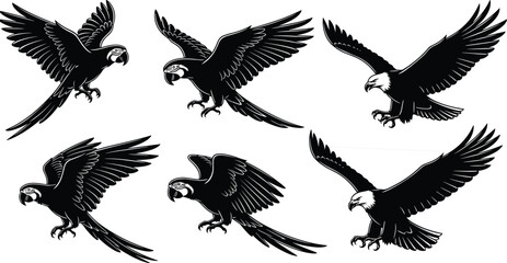 Obraz premium Dynamic eagle and parrot attack pose silhouette vector illustration featuring aggressive flying birds, wildlife artwork, detailed wings, and dramatic predatory bird movement for graphic design