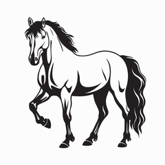 Obraz premium Elegant Majestic Horse Vector Illustration on White Background