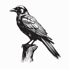 Raven Sitting on Tree Branch  Silhouette Vector