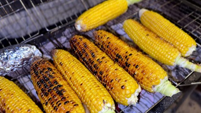 Detailed 4K close up of golden corn roasting on a charcoal grill showing rich texture warm tones and a rustic outdoor cooking environment.