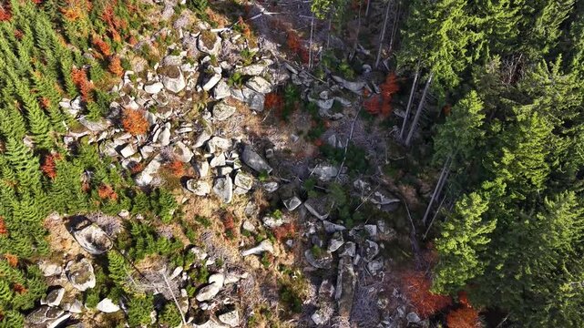 cliffside forest with stones, scenic aerial view of rugged stone landscape in forest setting