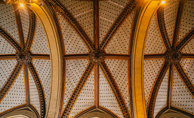 Mumbai, India, Ornate Gothic-style vaulted ceiling with decorative ribs and patterned panels. A detailed architectural interior showcasing historic craftsmanship and symmetrical design.