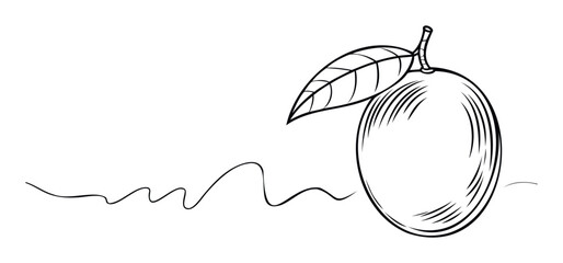 Stylized line drawing of a round fruit with a single leaf and a wavy line below, perfect for health food branding and organic product packaging.
