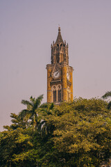 Mumbai, India Historic clock tower rising above lush green trees in Mumbai, illuminated by warm sunlight. A famous architectural landmark showcasing Gothic Revival style.