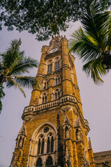 Mumbai, India Upward view of the historic Rajabai Clock Tower framed by palm trees in Mumbai. A striking Gothic Revival landmark illuminated by warm tropical sunlight.