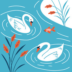 Obraz premium Vector illustration two white swans swimming in blue water with orangered fish and aquatic plants, illustration