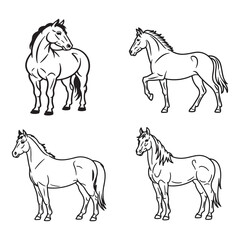 Horse silhouette vector illustration showing elegant animal shape in minimal style