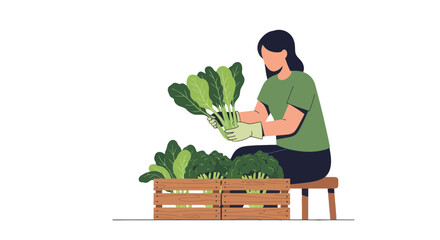 Woman Harvesting Fresh Vegetables From A Wooden Crate With Black Background