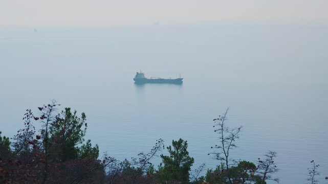 large bulk carriers are in the roadstead off the coast