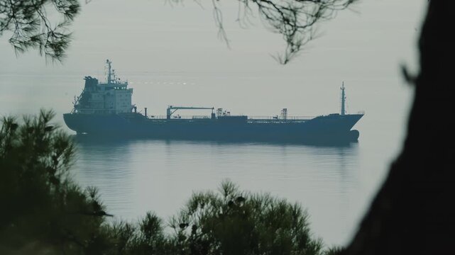 large bulk carriers are in the roadstead off the coast