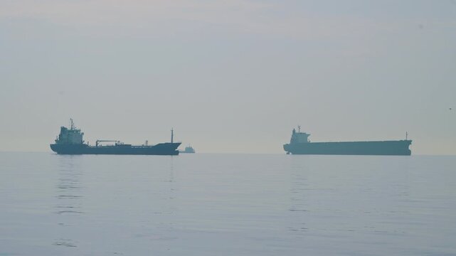 large bulk carriers are in the roadstead off the coast