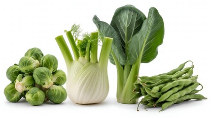 Fresh Brussels Sprouts, Fennel, Greens, and Green Beans on White Background