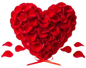 Heart Shape Made of Red Rose Petals with Ribbon Transparent Background