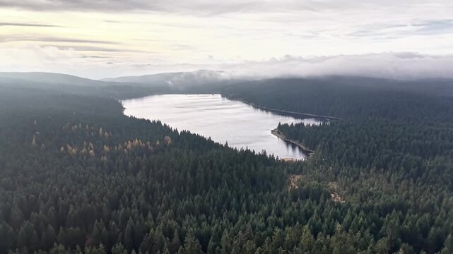 ranger aerial survey over remote reservoir and dense pine forest, foggy morning conditions, conservation
