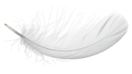 Featherlight white down feather, isolated on transparent background