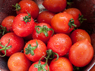 Bunch of fresh red cherry tomatoes rinsed in the bowl with water in the sink, close up of tomatoes in the bowl covered with water drops.