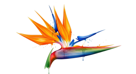 Bird of Paradise flower with rainbow colors and water splashes strelitzia tropical flower