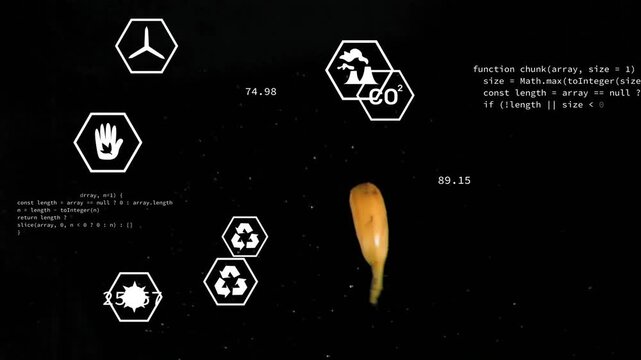 Banana entering bottom rising and flipping hex icons pulsing numbers updating code showing eco data
