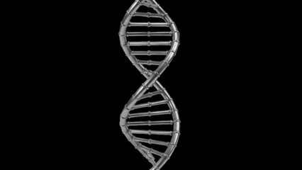 Metallic D N A double helix structure against black background molecule genetics