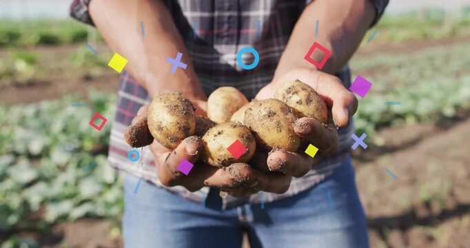 Farmer in field presenting potatoes to camera, causing geometric overlays showing soil and harvest