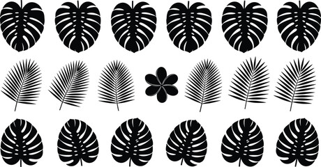 Black silhouette tropical monstera leaves and palm fronds with a plumeria flower on white background