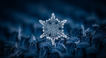 Macro photograph of a delicate snowflake on a textured blue fabric, capturing the intricate crystalline structure of a winter ice formation with stunning detail