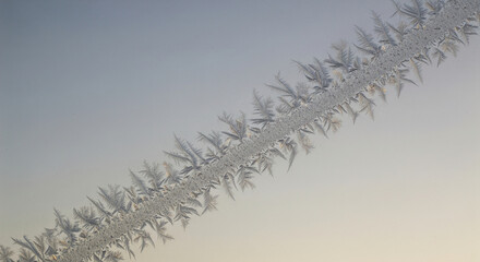 Fototapeta premium Macro view of delicate frost crystals shimmering along a diagonal surface, showcasing the intricate patterns of a cold winter morning against a softly blurred, gradient sky