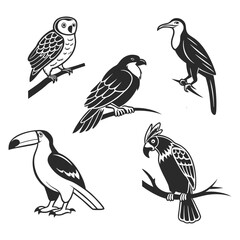 Fototapeta premium Set of black and white wild birds from various habitats, including an owl, a toucan, a parrot, a raven, and a heron isolated on a transparent background