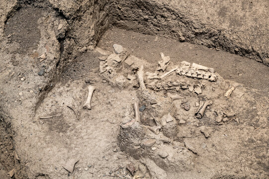 Ancient Excavation Site With Bones in Gabala Azerbaijan