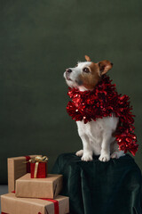 A Jack Russell Terrier with a shiny red garland around its neck sits atop a pedestal next to...