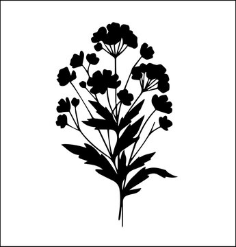 Elegant floral bouquet illustration for sophisticated designs, perfect for wedding invitations, branding, and delicate patterns, timeless botanical art