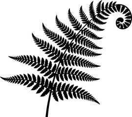 Elegant fern frond with unfurling fiddlehead – Botanical illustration with natural charm, perfect for branding, invites, and nature-inspired designs © TOP-EDGE DESIGNS