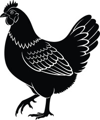 Black Silhouette of a Chicken Walking with White Outline Details Keywords: chicken, hen, bird, fowl, poultry, farm animal