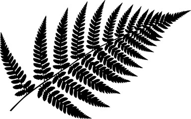 Naklejka premium Elegant detailed silhouette of a delicate fern frond perfect for modern nature designs and botanical projects