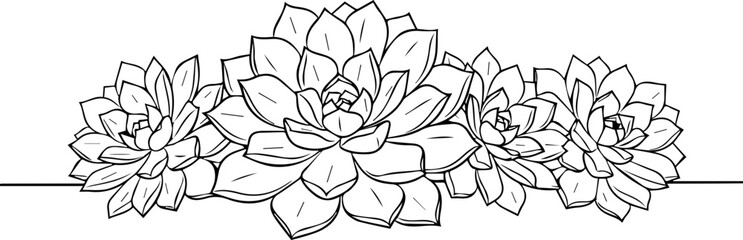 Delicate succulent arrangement, perfect for adding a touch of natural elegance to your designs, invitations, or branding projects with a minimal aesthetic