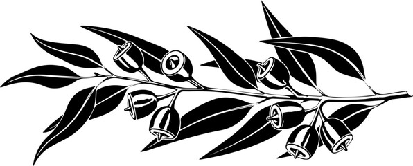 Elegant eucalyptus branch with gum nuts, beautifully detailed for botanical illustrations or stylish natural designs, adding an organic, minimalist touch © Teh