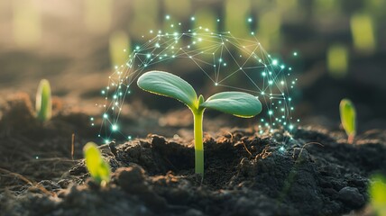Small green seedling growing from dark soil surrounded by a glowing digital network protection dome illustrating technology integration in agriculture and sustainable farming