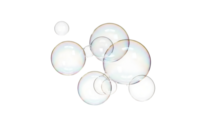 Isolated view of white sea shells against a dark black background with soft lighting