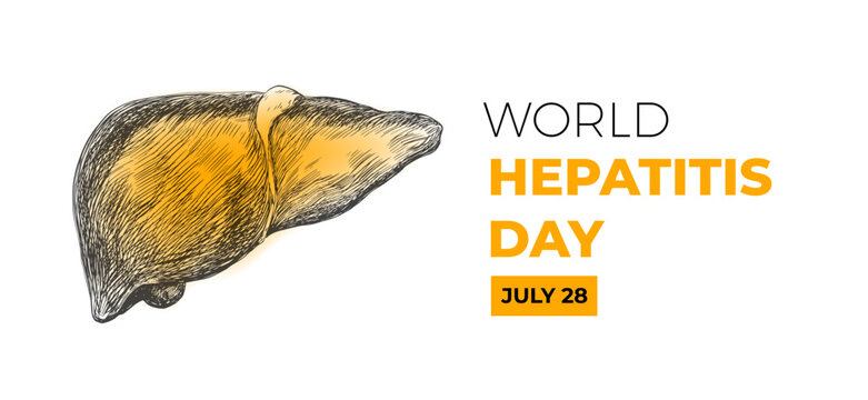 Banner for World Hepatitis day. Hand drawn liver - Powered by Adobe
