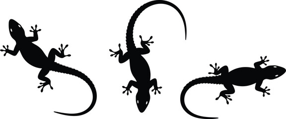 Lizard silhouette collection, black gecko reptile shapes, isolated vector style animals, crawling poses, wildlife design elements on white background