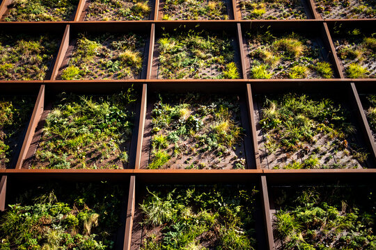 Modern architecture in a Copenhagen urban landscape where green design, vegetation and nature shape an outdoor environment expressed through structured rooftop grids and clean lines