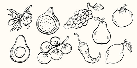 Mediterranean fruit and vegetable set in line: olives, figs, grapes, pear, tomato, avocado, chili and lemon. Ideal for menus, packaging, recipes and fresh food projects